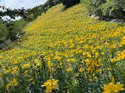 秋葉總本殿可睡斎の自然