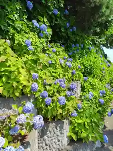 厚別神社(北海道)(2023年07月21日(金) 14時08分16秒投稿)