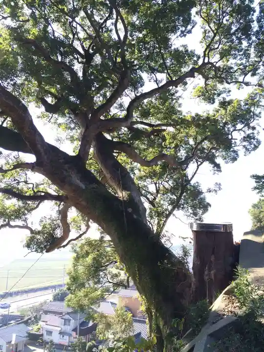 千栗八幡宮(佐賀県)