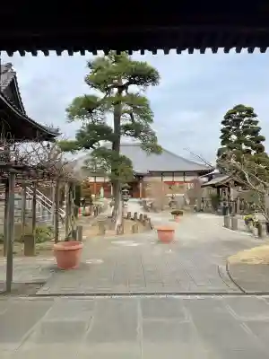 遍照院(埼玉県)