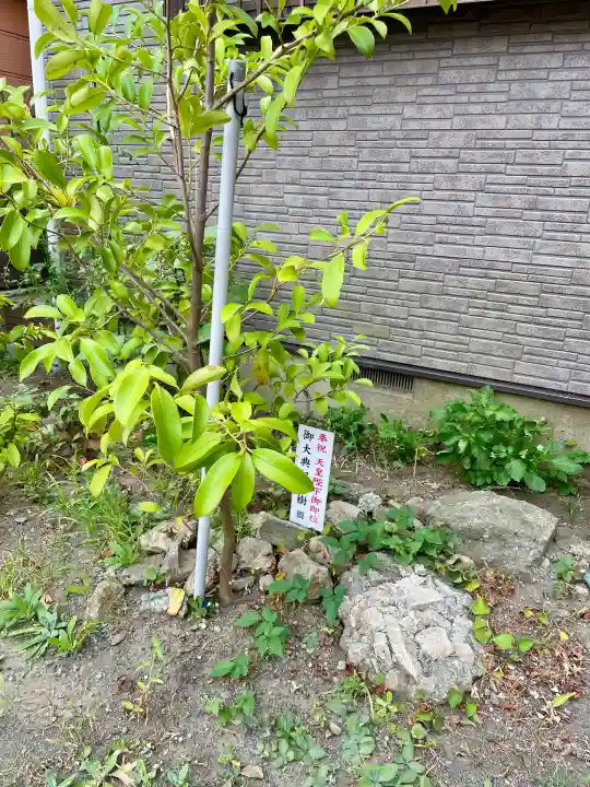 熊野神社(神奈川県)