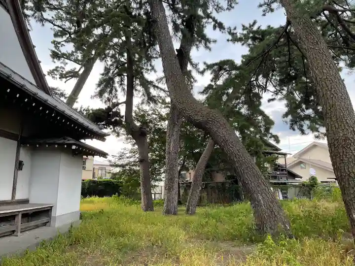 網一色 八幡神社の庭園