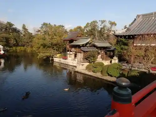 神泉苑の庭園