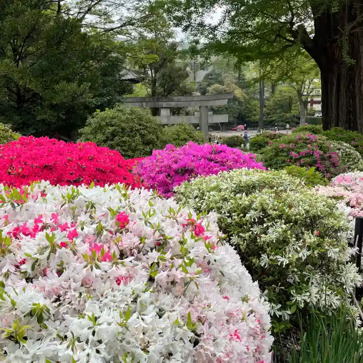 根津神社の自然