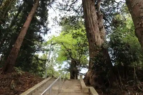 川辺八幡神社の景色