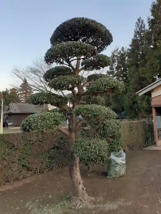 伏木香取神社の庭園