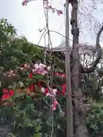 宝勝山 南藏院 蓮光寺の末社・摂社