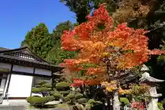 鹿島大神宮の自然