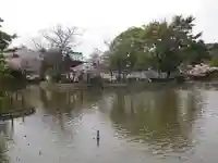 旗上弁財天社の自然