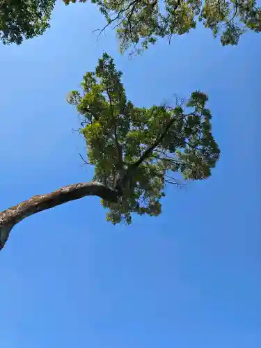 福良天満宮の{uncategorized: "未分類", other: "その他", undefined: "問題あり", building: "その他建物", grave: "お墓", sacred_gate: "鳥居", guardian: "狛犬", statue: "像", buddha: "仏像", history: "歴史", nature: "自然", garden: "庭園", animal: "動物", pagoda: "塔", temizu: "手水舎", mountain_gate: "山門・神門", sanctuary: "本殿・本堂", subordinate: "末社・摂社", art: "芸術", scenery: "景色", jizo: "地蔵", ema: "絵馬", goshuin: "御朱印", omikuji: "おみくじ", items: "授与品その他", amulet: "お守り", goshuincho: "御朱印帳", eats: "食事", festival: "お祭り", votive_dance: "神楽", shichigosan: "七五三参", wedding: "結婚式", experience: "体験その他", initially: "初詣", around: "周辺", anti_infection: "感染症対策"}