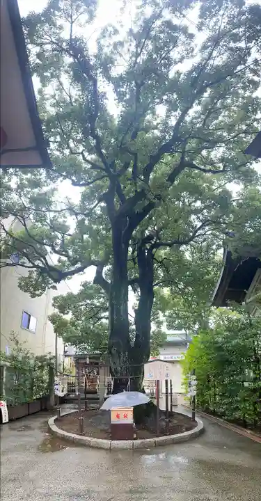 溝口神社(神奈川県)