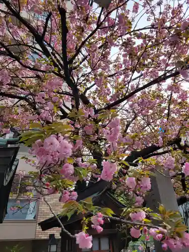 白龍神社(愛知県)