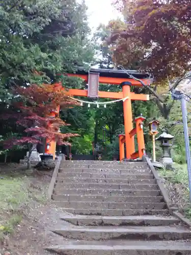 新倉富士浅間神社の鳥居