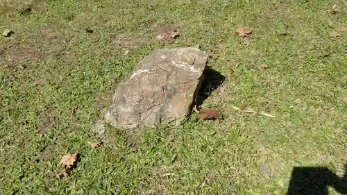 歌露稲荷神社の狛犬