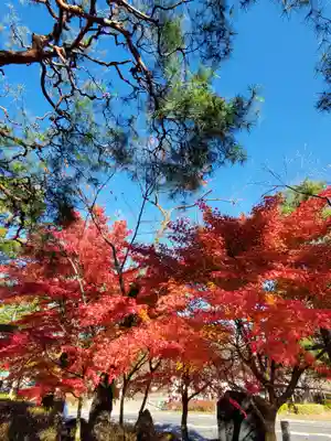 開成山大神宮(福島県)