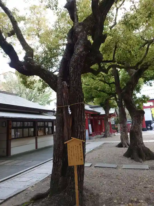御霊神社(大阪府)