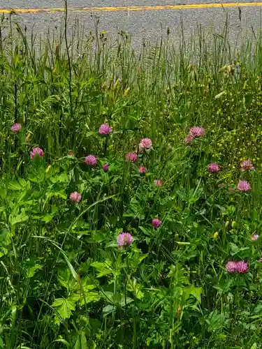 高司神社〜むすびの神の鎮まる社〜(福島県)