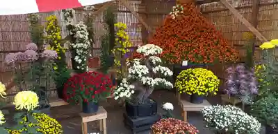 一言主神社(茨城県)