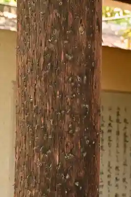 西光寺(埼玉県)