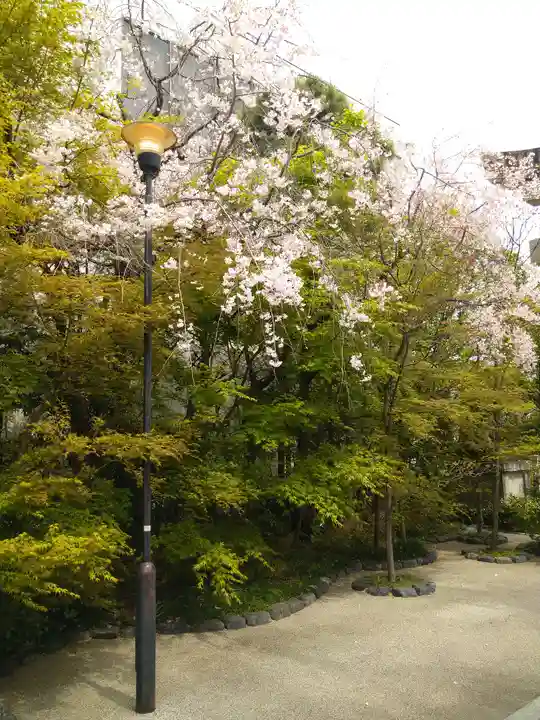晴明神社の自然