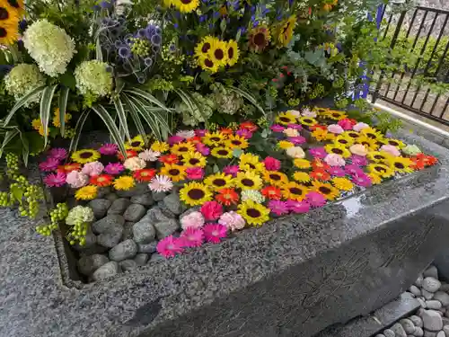 金蛇水神社の手水舎