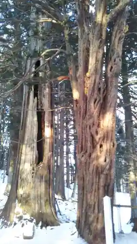 早池峰神社の自然