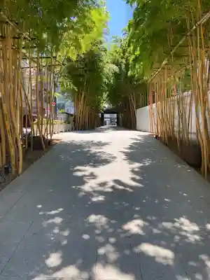 梅窓院(東京都)