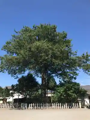 沙沙貴神社(滋賀県)