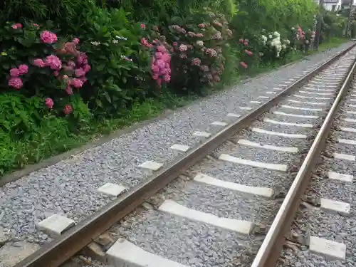 御霊神社の周辺