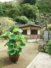 岩殿寺(神奈川県)