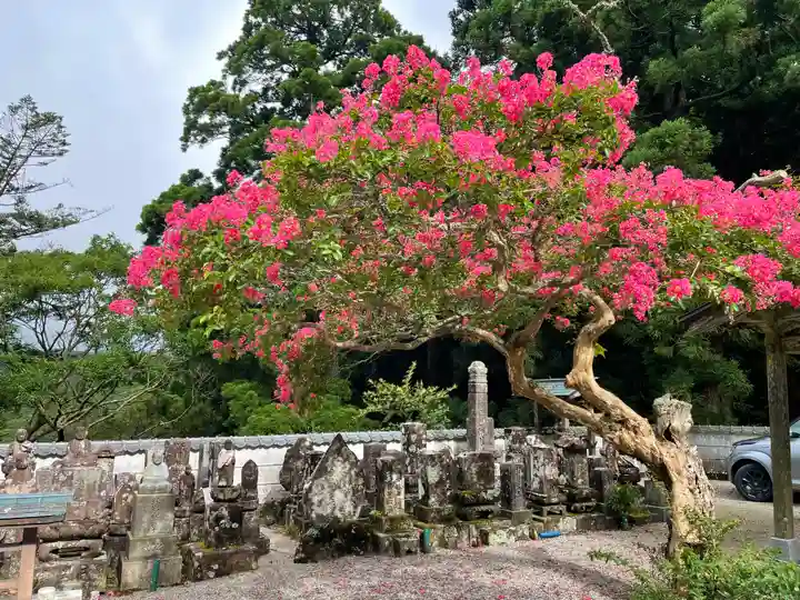 金剛證寺(三重県)