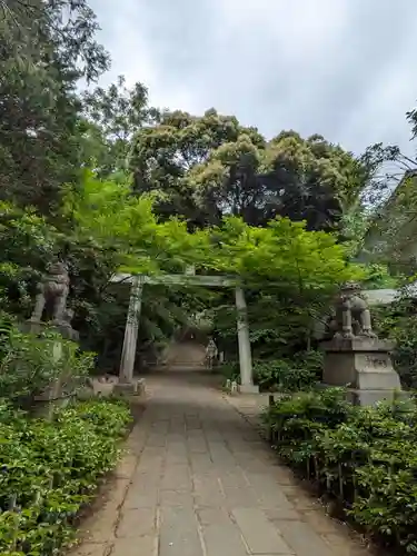 赤坂氷川神社(東京都)