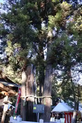 建部大社(滋賀県)