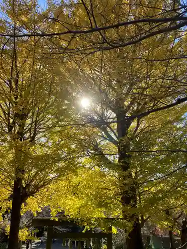 葛原岡神社(神奈川県)