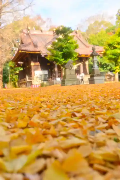 玉敷神社(埼玉県)