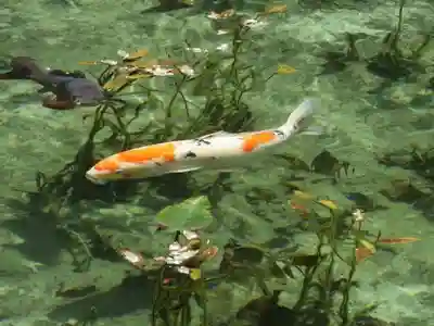 根道神社(岐阜県)