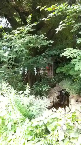 東京大神宮の庭園