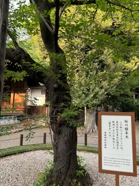靖國神社(東京都)
