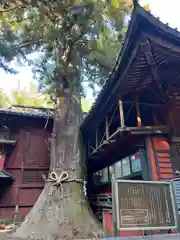 北口本宮冨士浅間神社(山梨県)