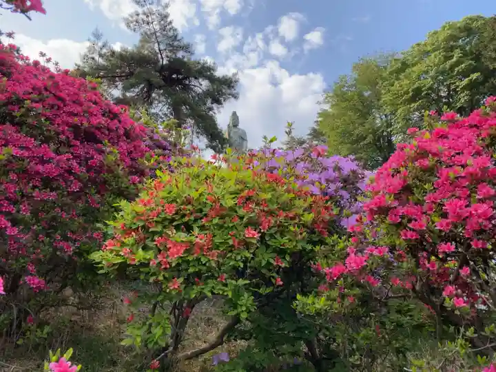 塩船観音寺の庭園