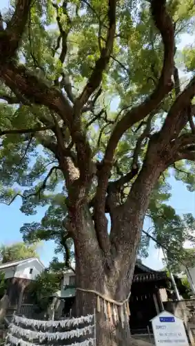 艮神社(広島県)