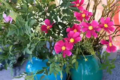 三津厳島神社(愛媛県)