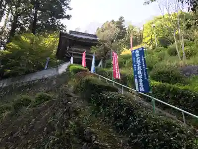禅定寺(島根県)