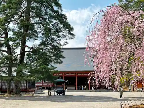 毛越寺(岩手県)