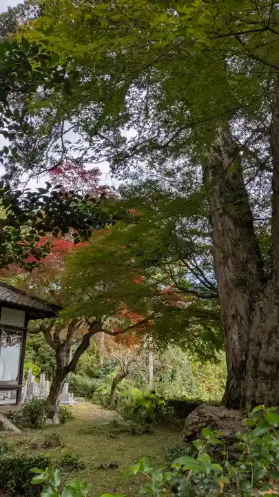 導故院(京都府)