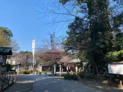 櫻木神社の{uncategorized: "未分類", other: "その他", undefined: "問題あり", building: "その他建物", grave: "お墓", sacred_gate: "鳥居", guardian: "狛犬", statue: "像", buddha: "仏像", history: "歴史", nature: "自然", garden: "庭園", animal: "動物", pagoda: "塔", temizu: "手水舎", mountain_gate: "山門・神門", sanctuary: "本殿・本堂", subordinate: "末社・摂社", art: "芸術", scenery: "景色", jizo: "地蔵", ema: "絵馬", goshuin: "御朱印", omikuji: "おみくじ", items: "授与品その他", amulet: "お守り", goshuincho: "御朱印帳", eats: "食事", festival: "お祭り", votive_dance: "神楽", shichigosan: "七五三参", wedding: "結婚式", experience: "体験その他", initially: "初詣", around: "周辺", anti_infection: "感染症対策"}