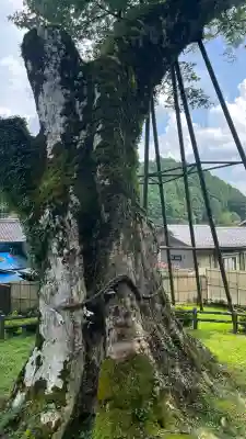 足鹿神社の{uncategorized: "未分類", other: "その他", undefined: "問題あり", building: "その他建物", grave: "お墓", sacred_gate: "鳥居", guardian: "狛犬", statue: "像", buddha: "仏像", history: "歴史", nature: "自然", garden: "庭園", animal: "動物", pagoda: "塔", temizu: "手水舎", mountain_gate: "山門・神門", sanctuary: "本殿・本堂", subordinate: "末社・摂社", art: "芸術", scenery: "景色", jizo: "地蔵", ema: "絵馬", goshuin: "御朱印", omikuji: "おみくじ", items: "授与品その他", amulet: "お守り", goshuincho: "御朱印帳", eats: "食事", festival: "お祭り", votive_dance: "神楽", shichigosan: "七五三参", wedding: "結婚式", experience: "体験その他", initially: "初詣", around: "周辺", anti_infection: "感染症対策"}