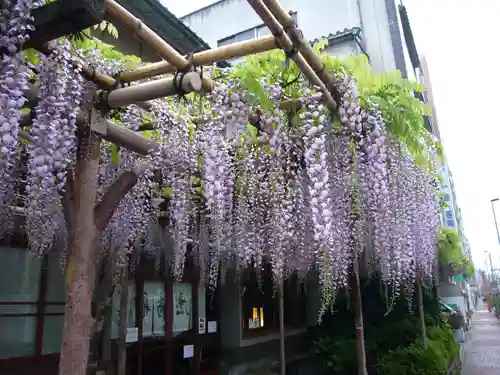 亀戸天神社の食事