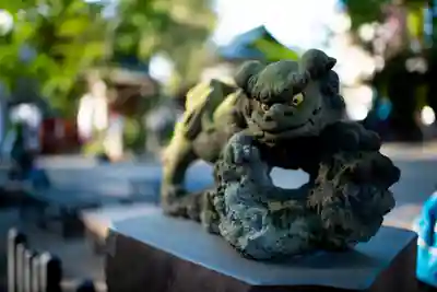 田無神社の狛犬