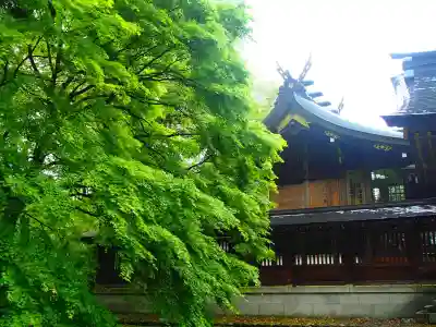岐阜護國神社の本殿・本堂
